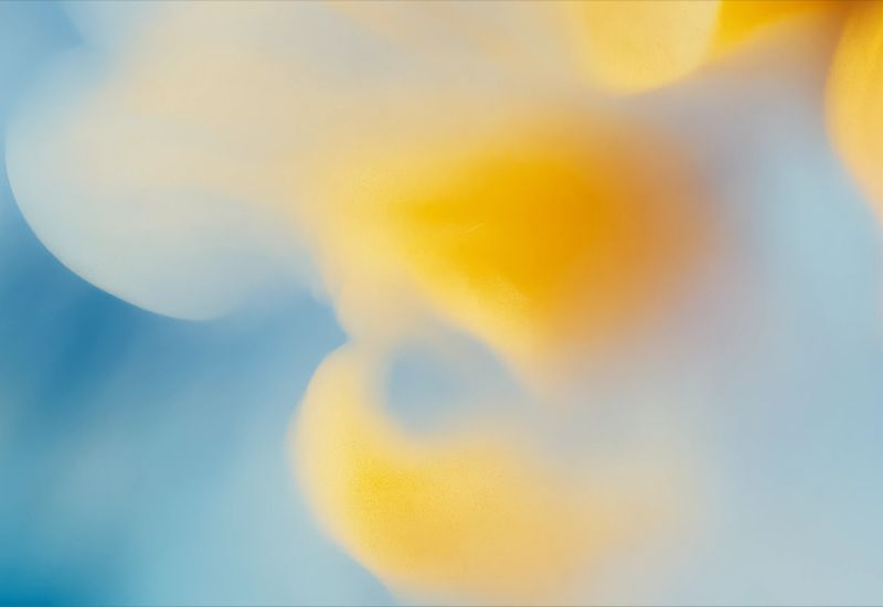 אובנה יקטין את פרויקטים מקבילים כדי לא להיכנע במרוץ למודלים של בינה מלאכותית