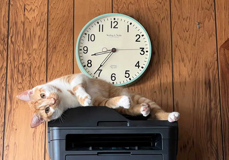 וינדוס 11 תפסיק לתמוך בדרייברים ישנים של מדפסות V3 ו‑V4 עם עדכון הבא