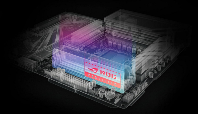 אוסס אישרה תאימות של 17 מודולים DDR5 ל-ROG.