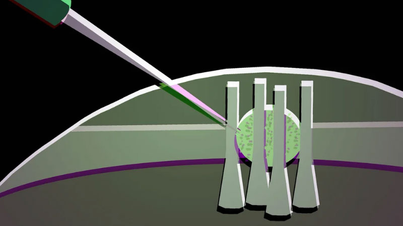 המדענים הפכו טיפה של קריסטל נוזלי לתנאי אופטי גמישים עבור ציפוי פוטוניקי עתידי