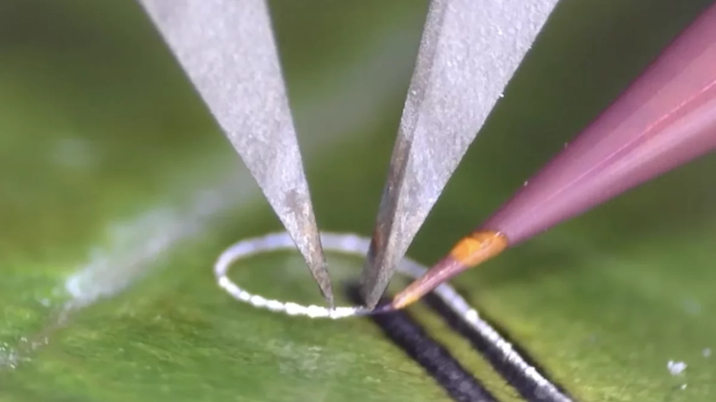 המהנדסים יצרו מכשיר המאפשר למרוח רכיבים אלקטרוניים על רקמות חיות ואימפלנטים רפואיים ללא נזקים