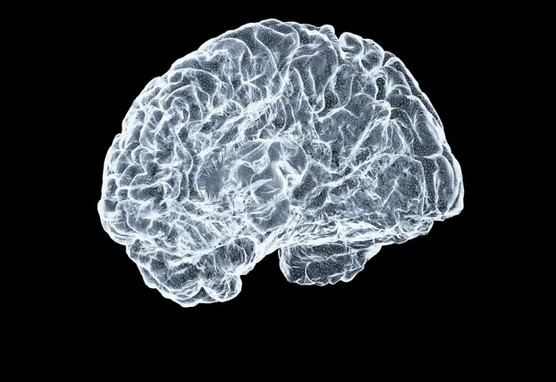 הדבקות המוחיות בסין מאחור מה‑Neuralink האמריקאי בכמעט שלוש שנים