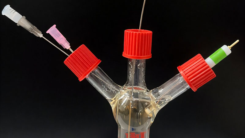 הבקטריונים הוכרחו לייצר חשמל כאשר הם מצאו חומרים מסוכנים – והם עשו זאת על ידי "לכידתם" בתא.