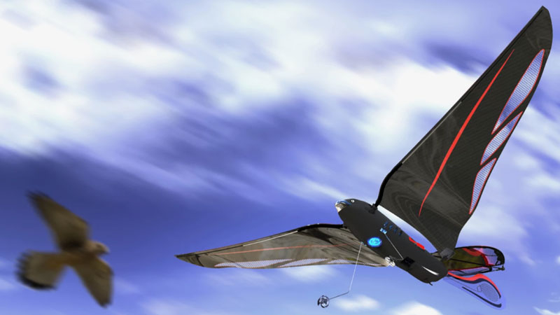 מהנדס יצר ציפור רובוטית במשקל 10 גרם, שמסתובבת במהירות של עד 31 קמ״ש ומופעלת דרך סמארטפון