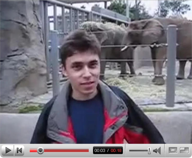 הסרטונים הראשונים מהיוטיוב נכנסו לאוסף של המוזיאון